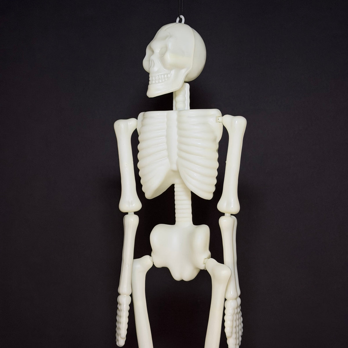 An off-white plastic Halloween skeleton decoration hanging against a solid black background.