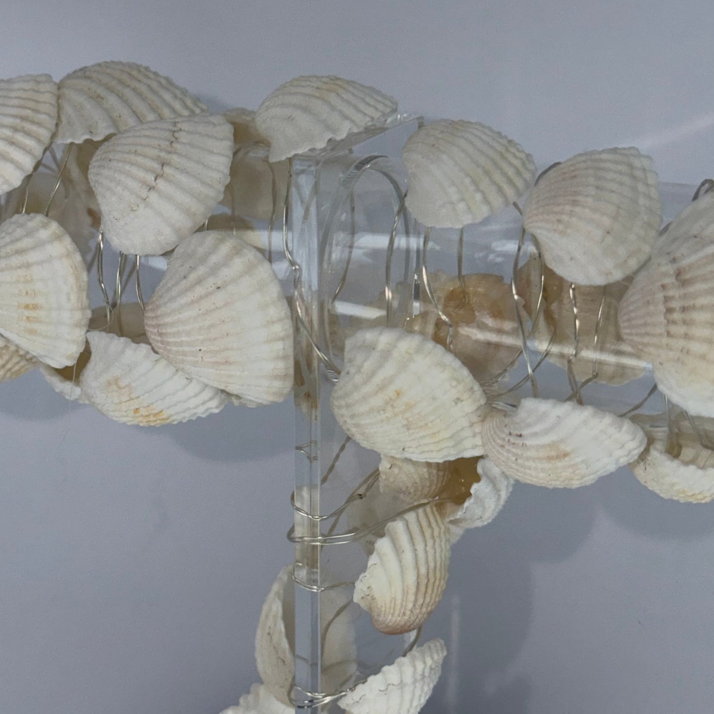 A spiral wall-mounted spiral staircase featuring clear acrylic steps covered with numerous small white seashells, shown against a plain light gray wall.