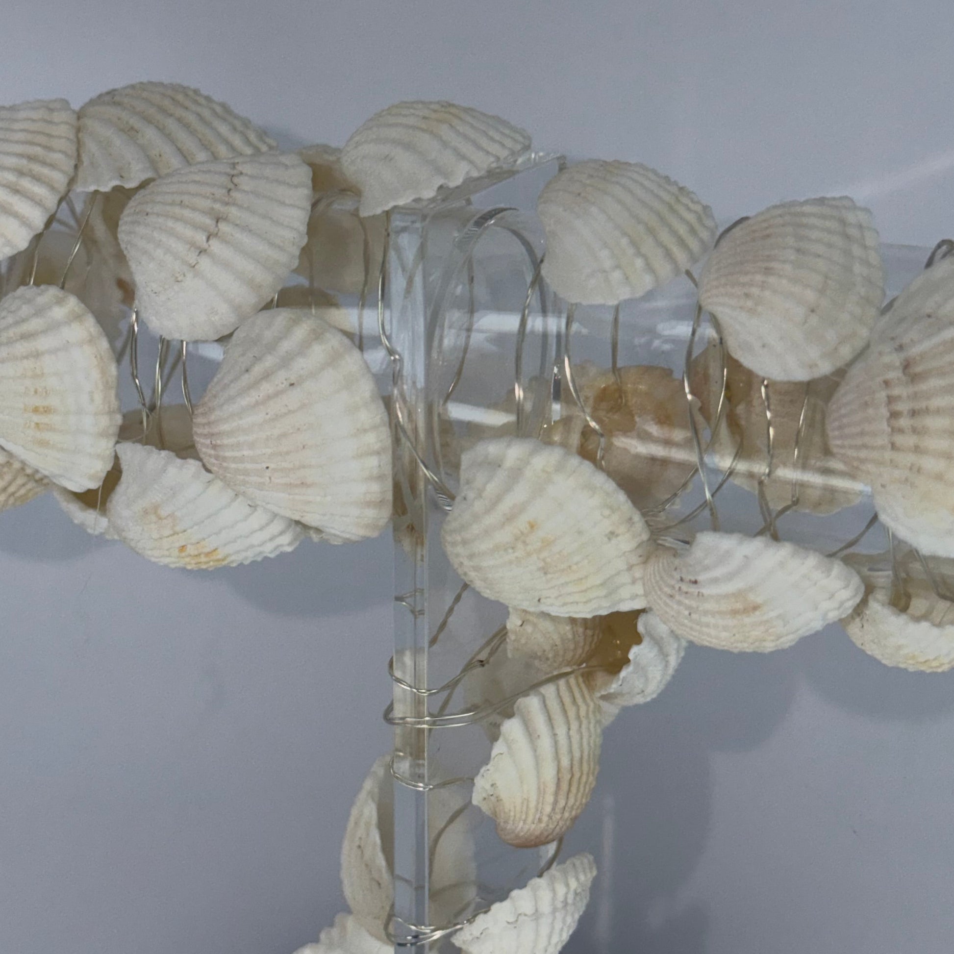 A spiral wall-mounted spiral staircase featuring clear acrylic steps covered with numerous small white seashells, shown against a plain light gray wall.