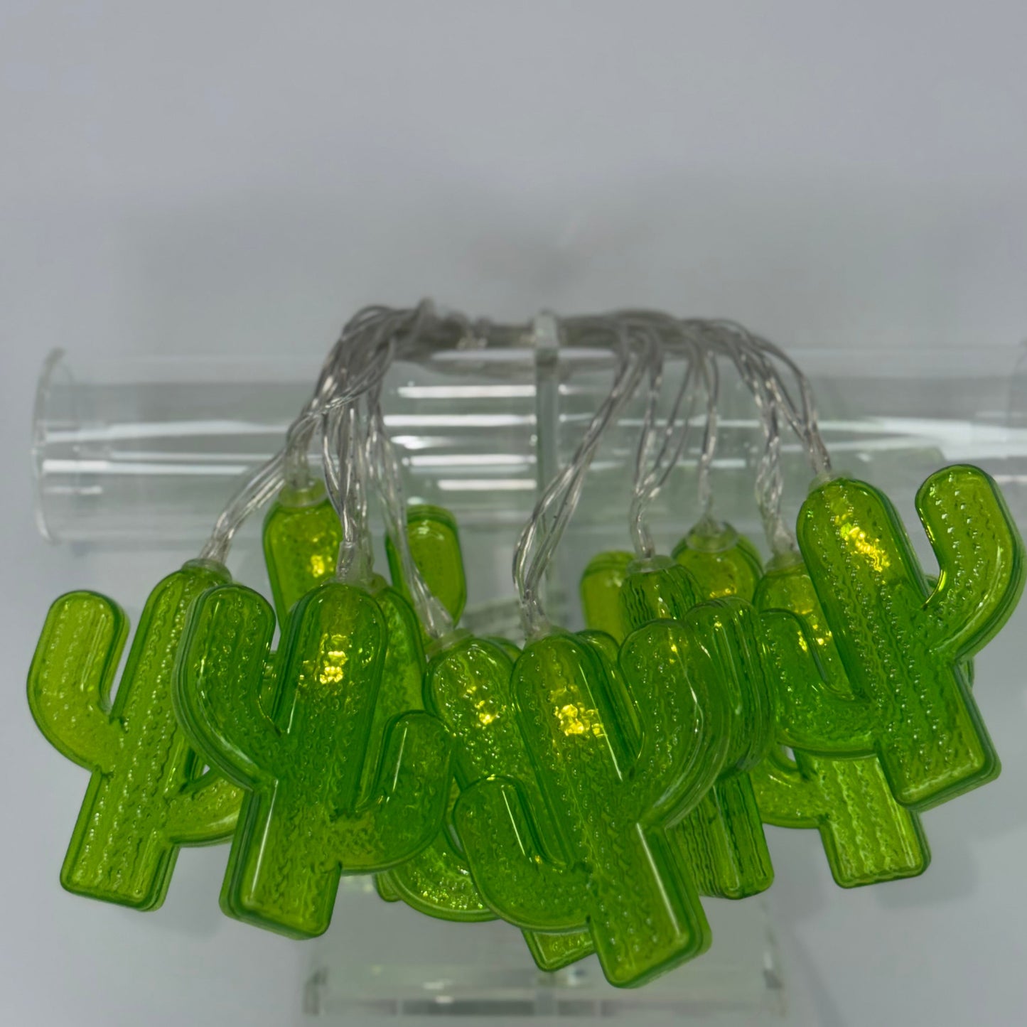 String of Cactus Lights
