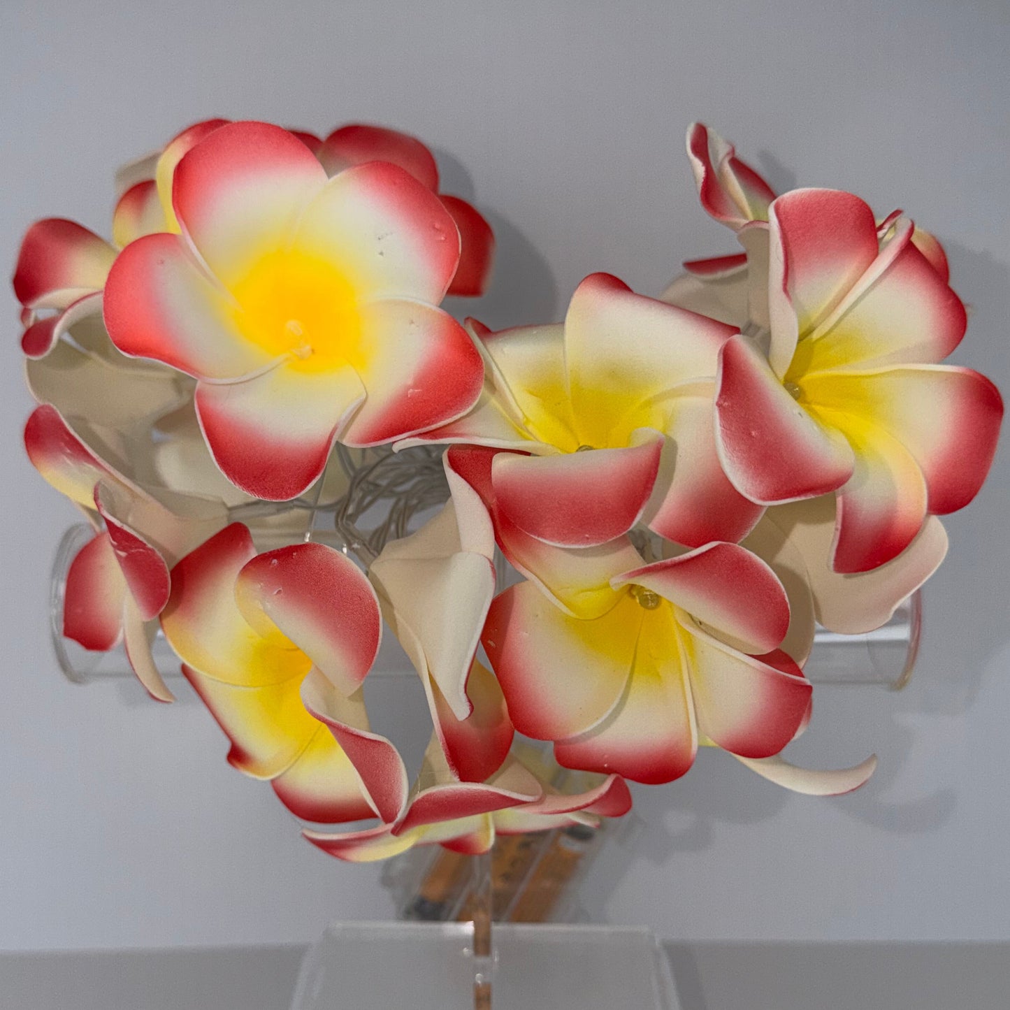 A wall-mounted light fixture with multiple plumeria flower-shaped bulbs, shown against a plain light gray wall.