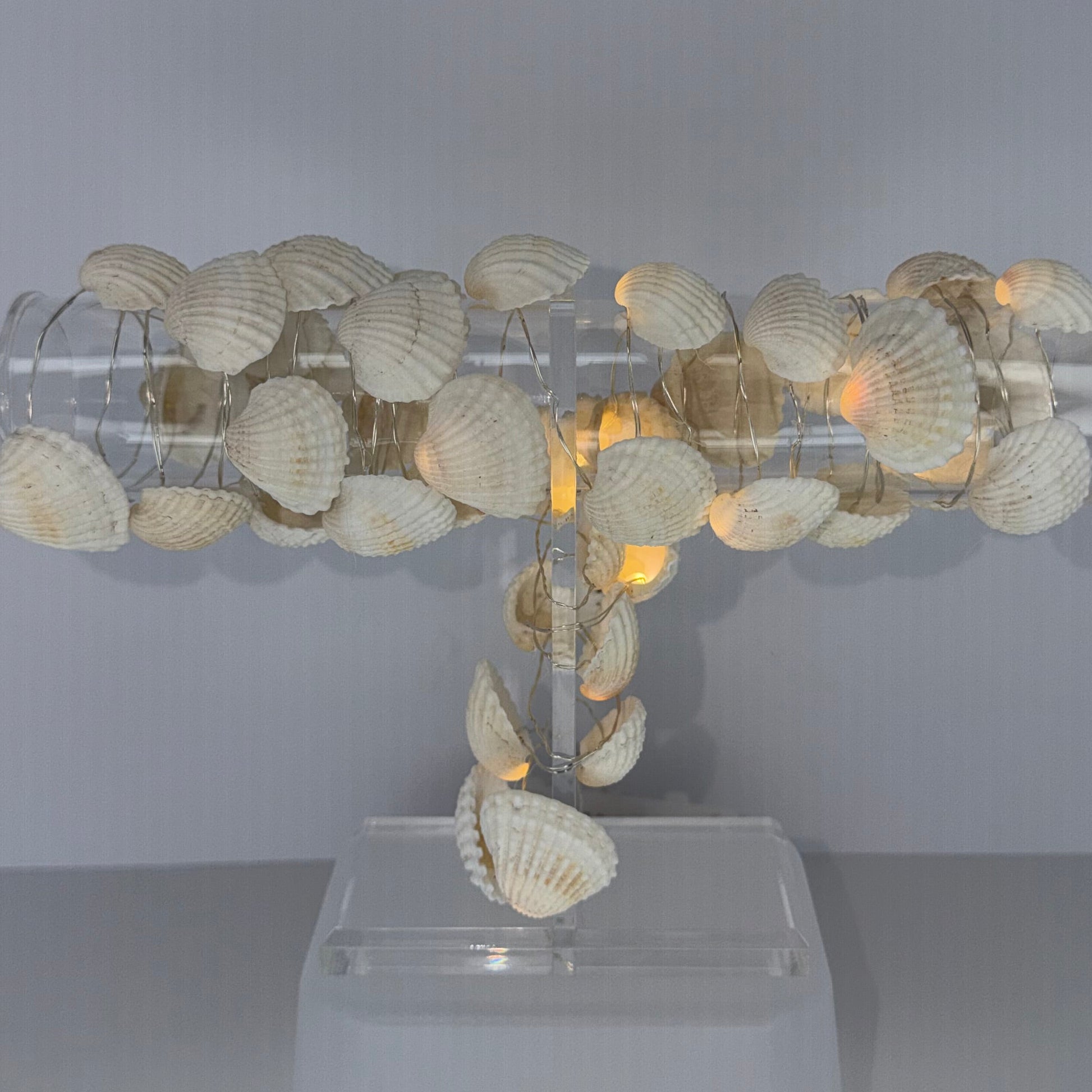 A decorative lamp or sculpture made of many small white seashells clustered around a clear cylindrical tube on a translucent white base, photographed against a plain light gray studio background.