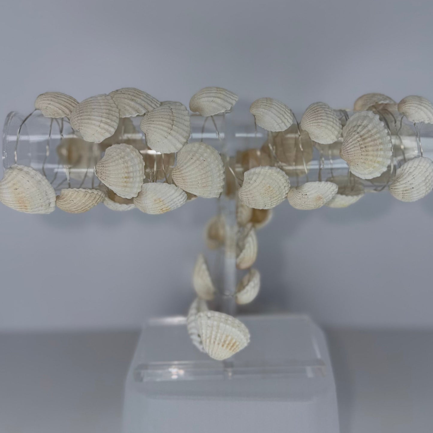 A decorative T-shaped wall light fixture made from numerous small white and beige seashells attached to clear acrylic tubes, mounted on a translucent white plastic base against a plain light gray background.