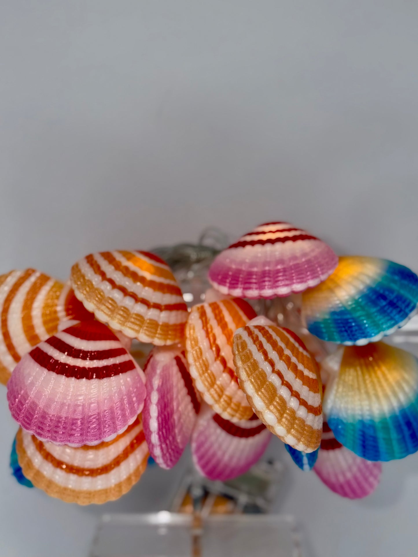 String of Orange Scallop Shell Lights