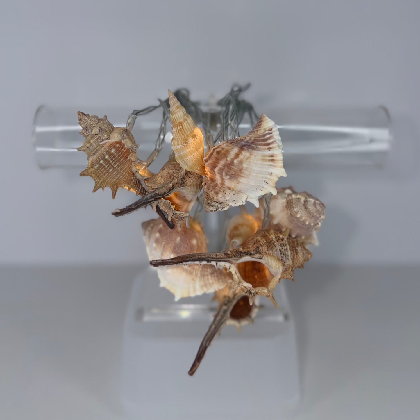A cluster of natural seashells and small driftwood pieces attached to silver wire, displayed on a clear acrylic stand against a light gray background.