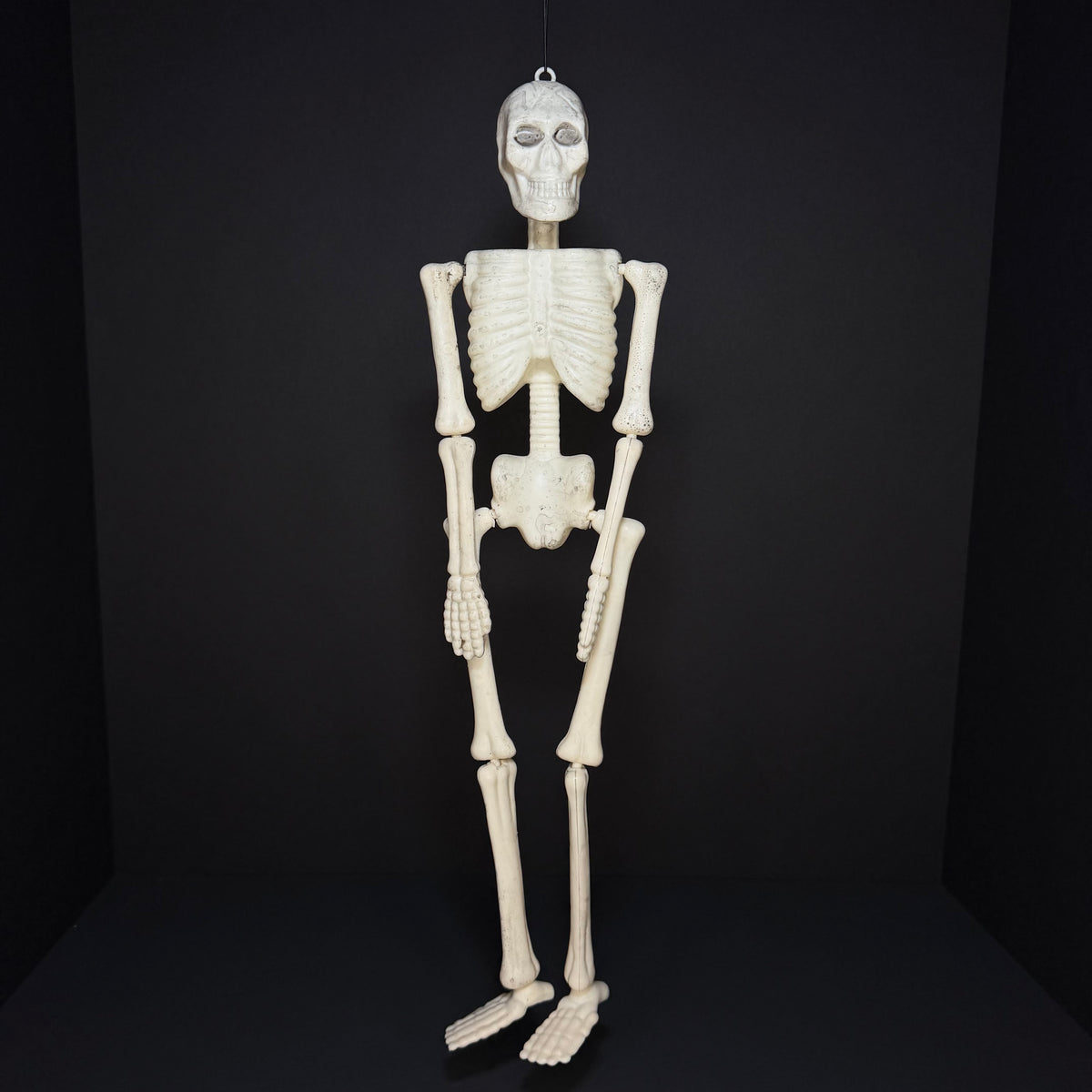 An anatomical human skeleton model displayed upright against a dark black background.