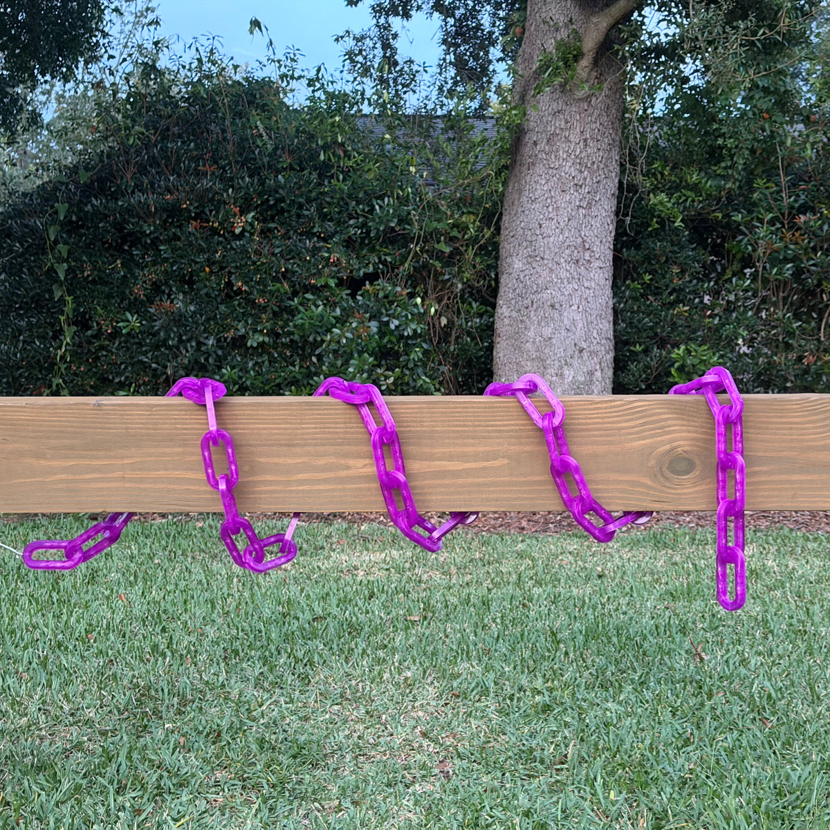 Purple String of Chains Lights in daytime, not illuminated