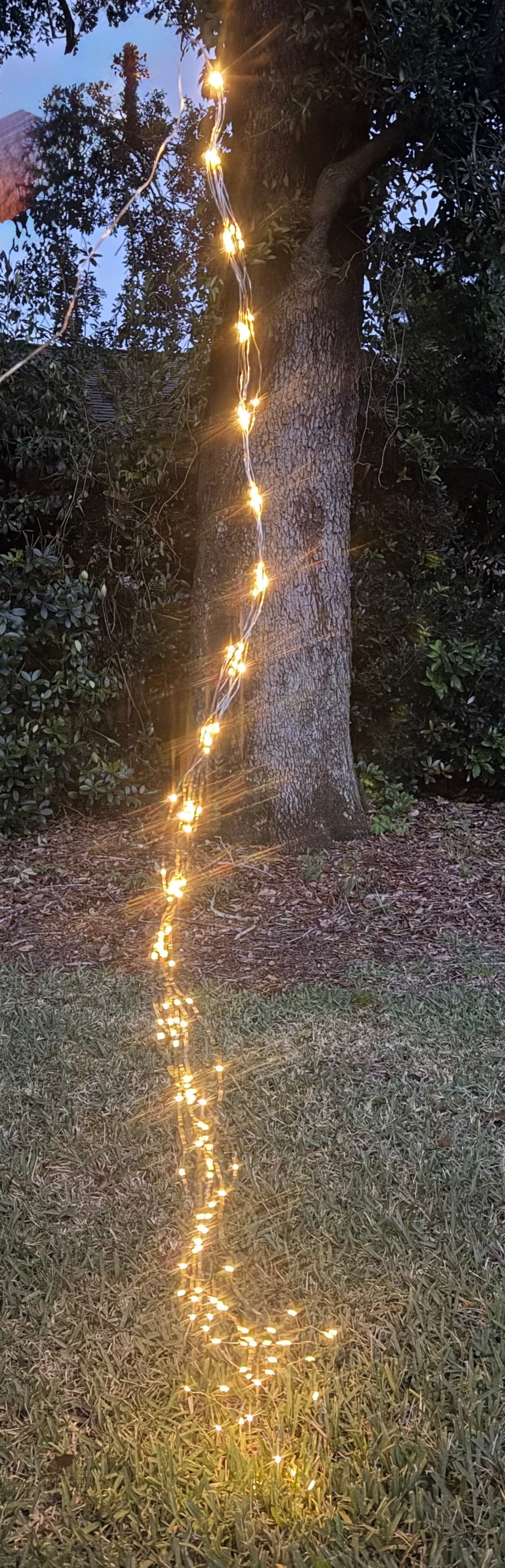 Soft white fountain fairy light 10 strand 200Soft white fountain fairy light 10 strand 200 LED battery operated