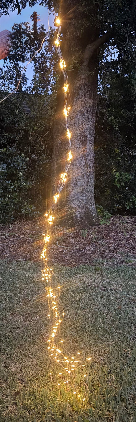 Soft white fountain fairy light 10 strand 200Soft white fountain fairy light 10 strand 200 LED battery operated