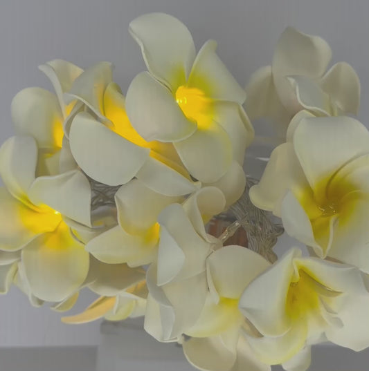 String of Flowers Lights